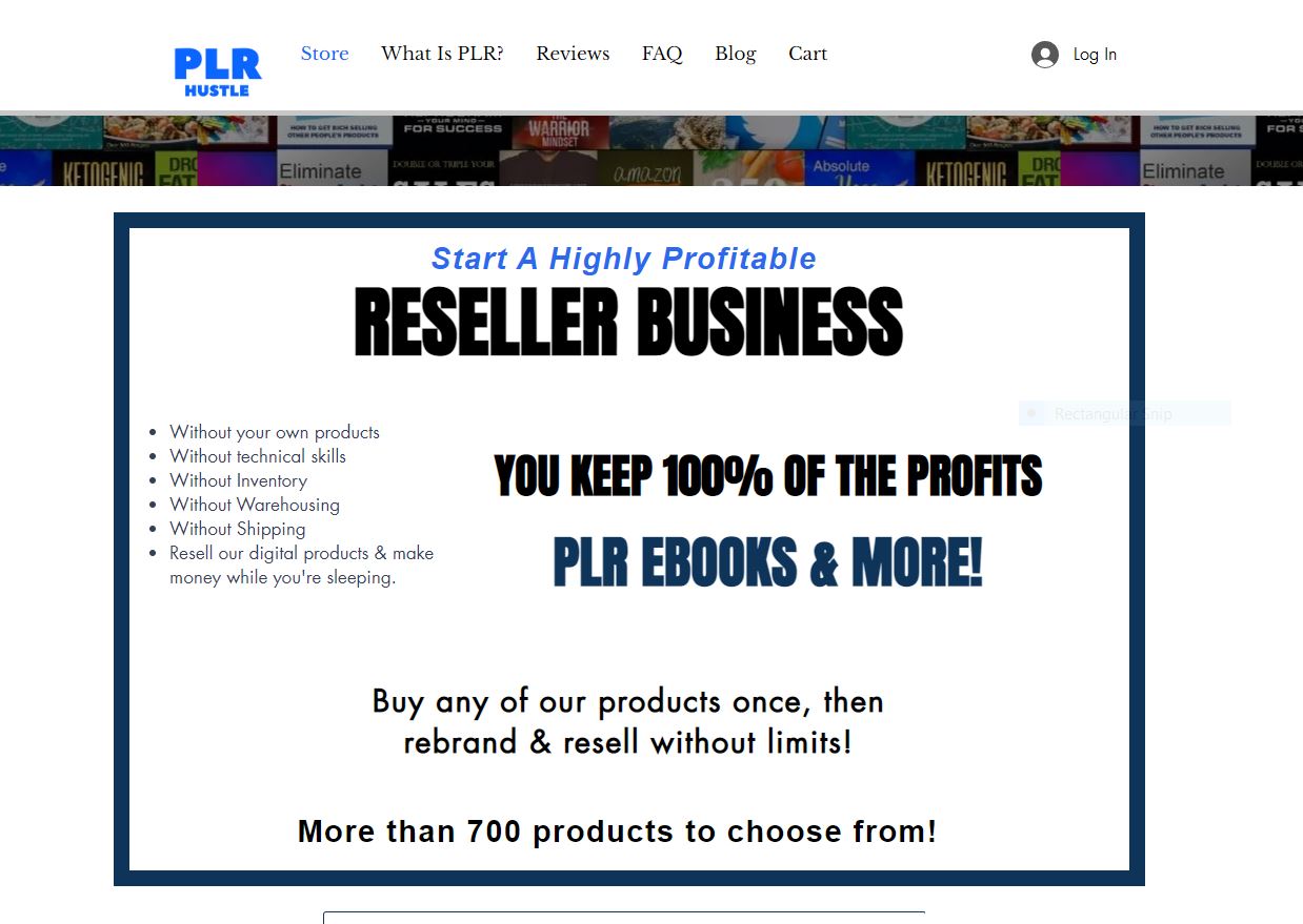 PLR Hustles- homepage JPEG