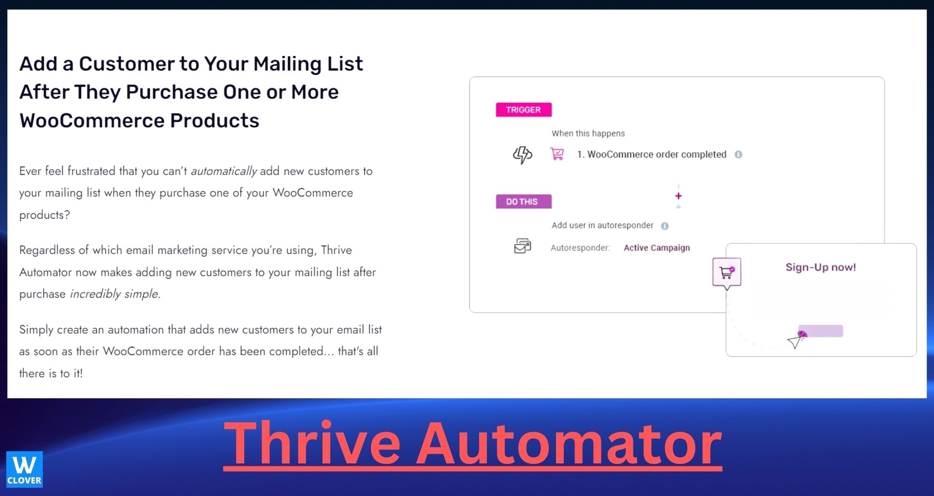 Thrive Automator Dashboard