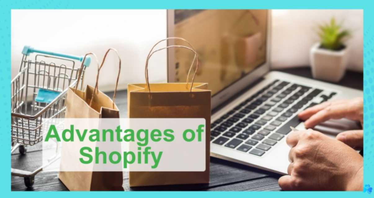 shopify for ecommerce business, self hosted platforms