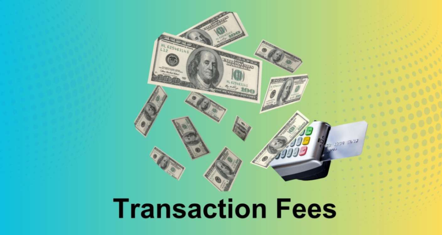 Shopify-High transaction fee