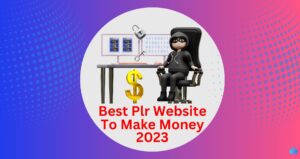 best plr websites to make money