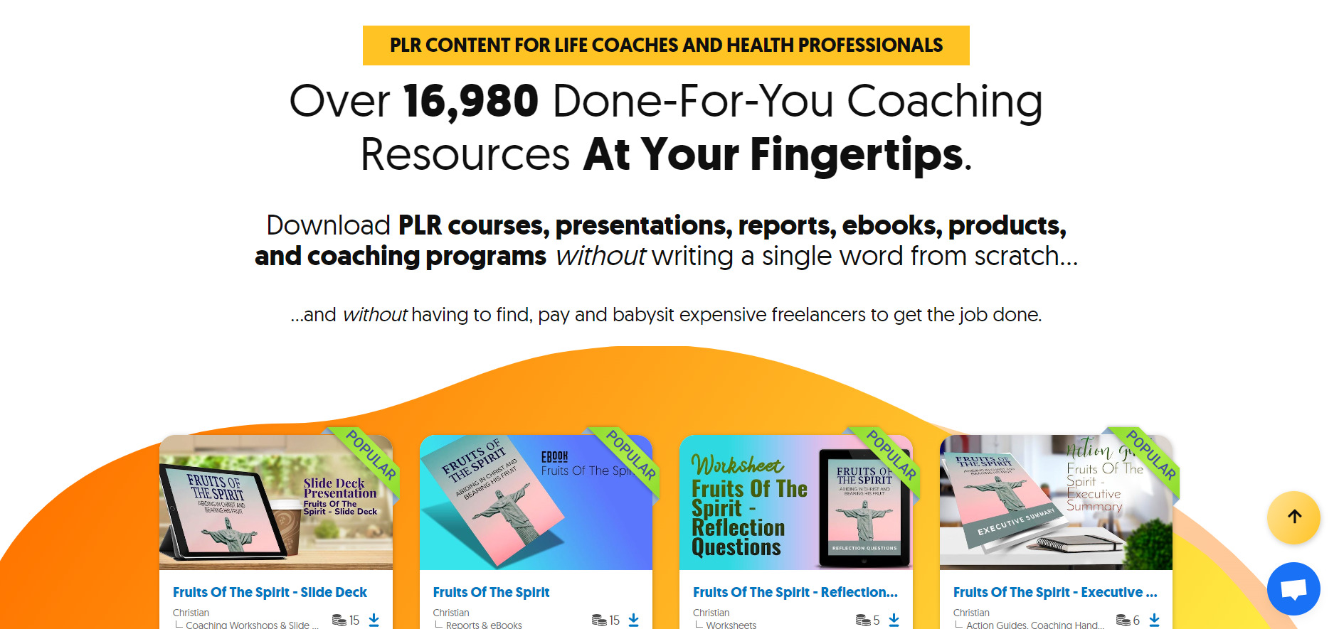 plr hompage done for you coaching