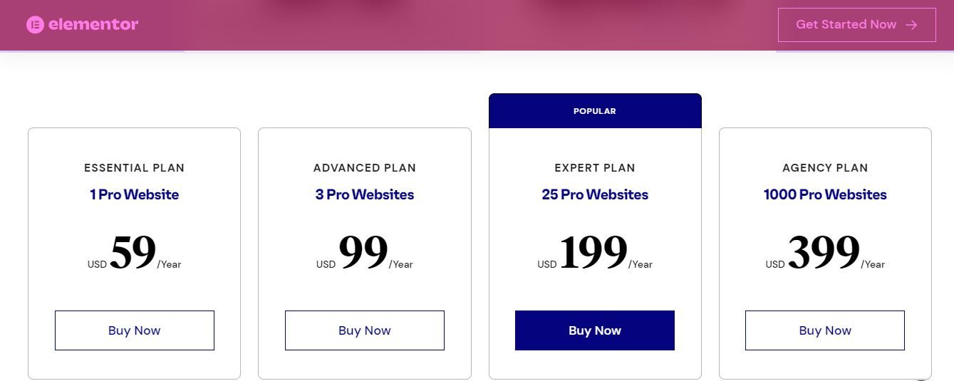 Thrive architect vs elementor-Elementor Pricing