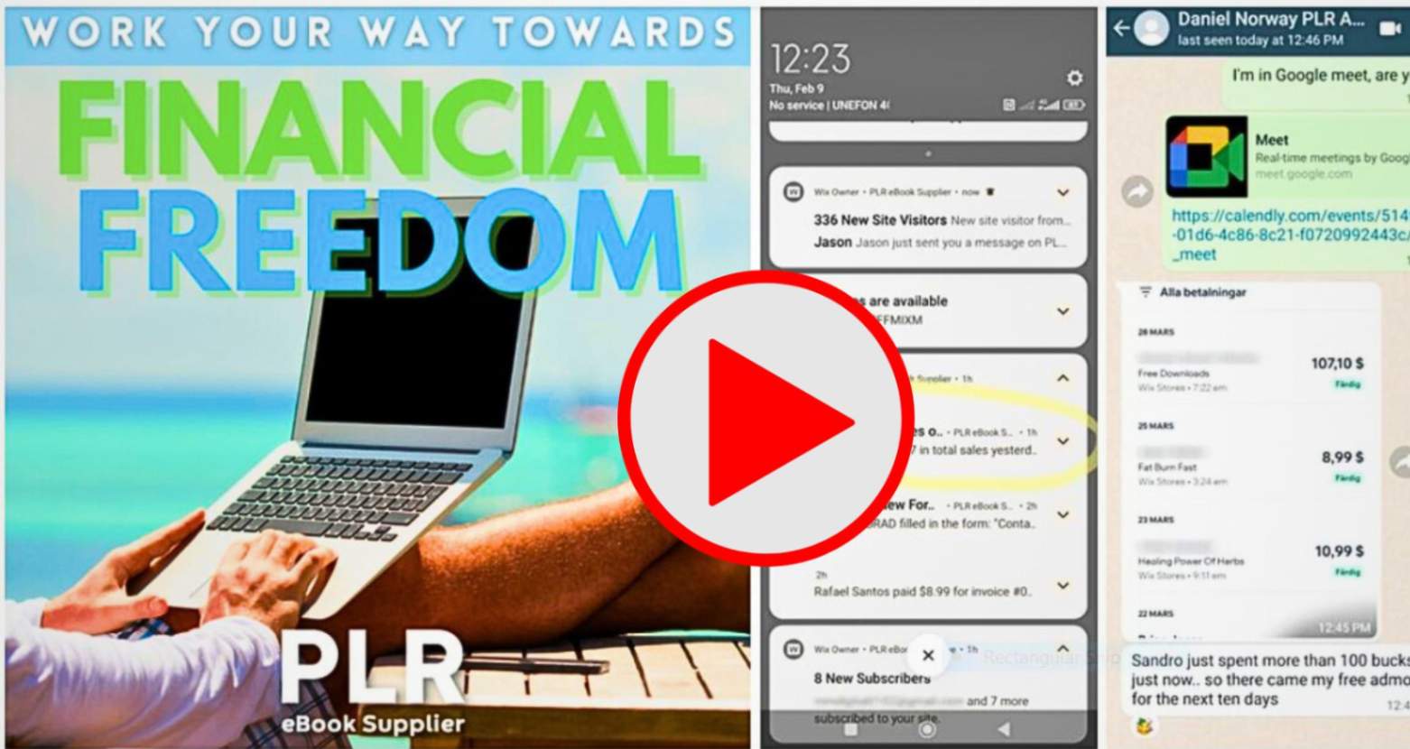 PLR work your way to financial freedom