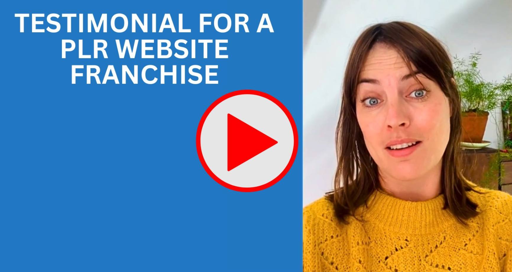 Testimonial for PLR website franchise