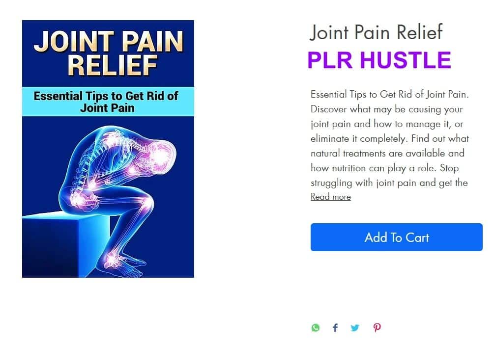 PLR HUSTLE-EBOOK